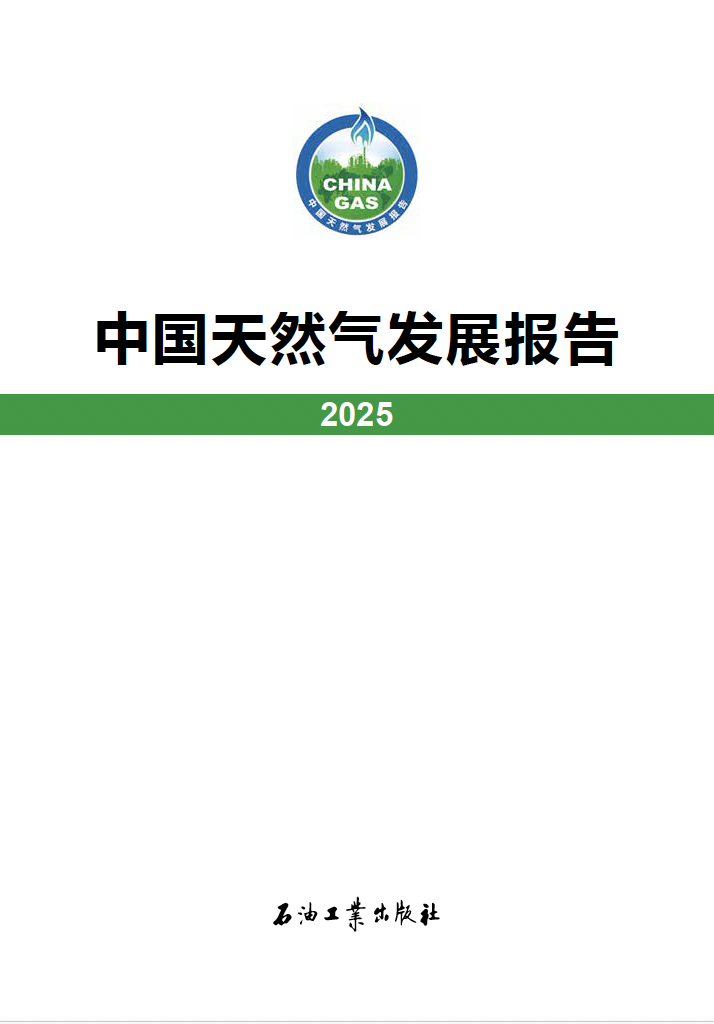 2025 LNG Report